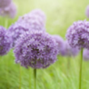 Meet your Posher, Khadija